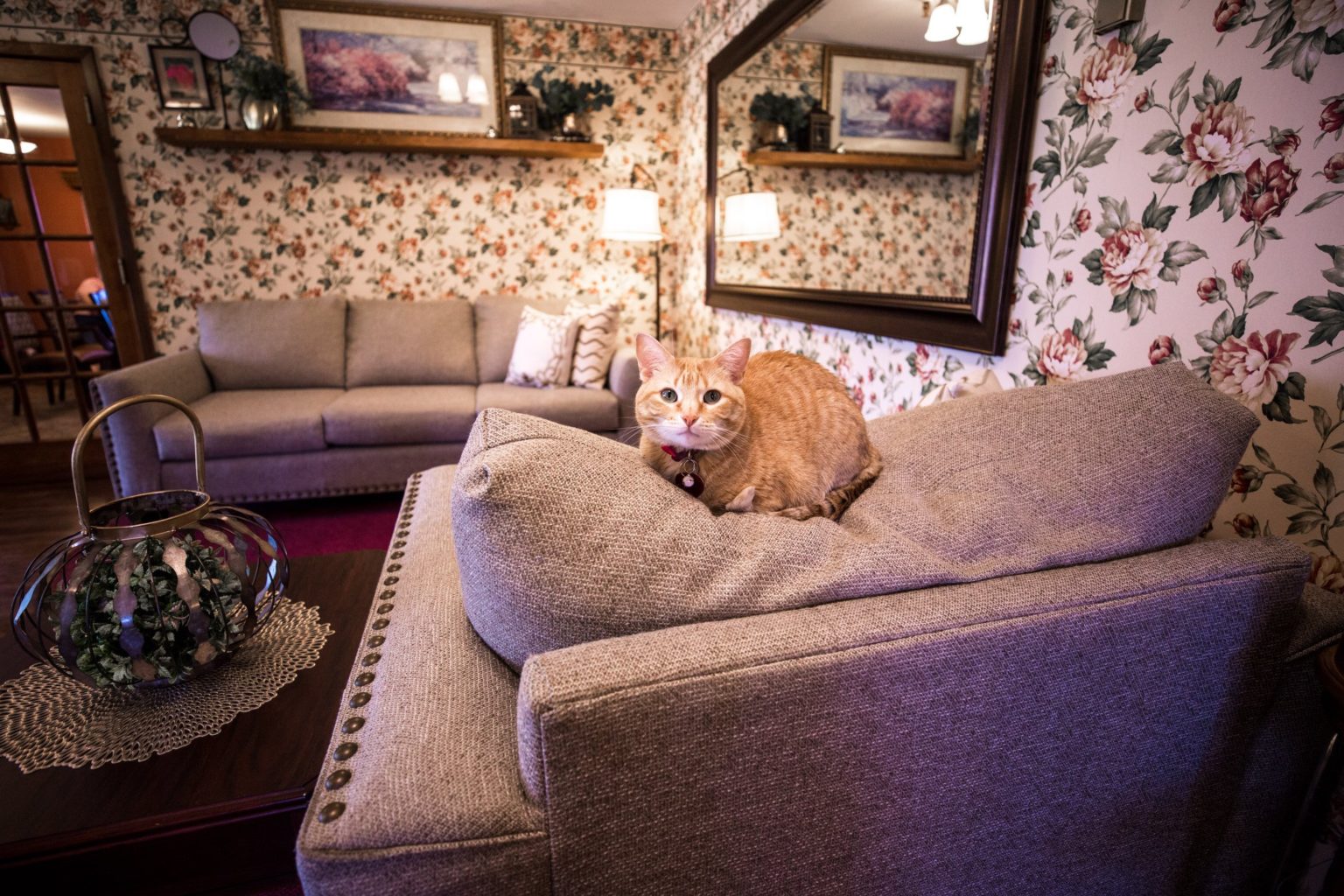 Crestview Nursing Home Your Premiere Retirement Community